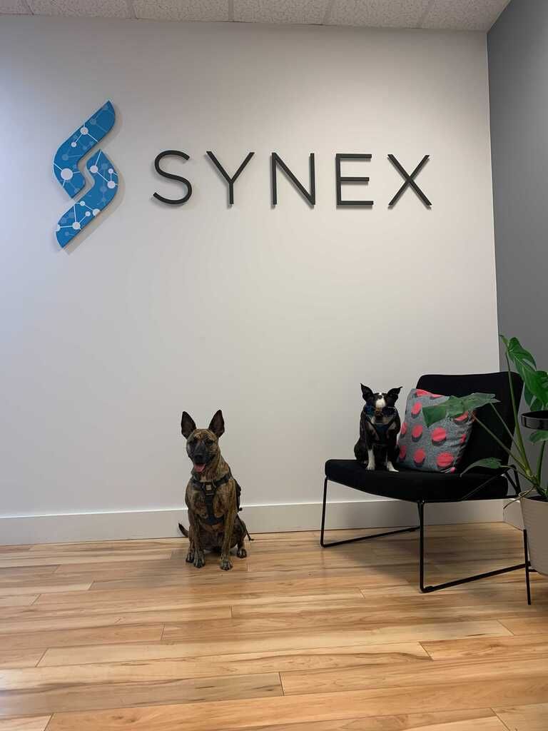 Synex Medical 2