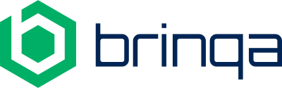 Brinqa logo