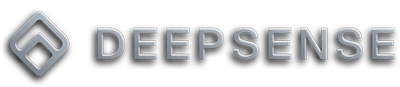 DeepSense